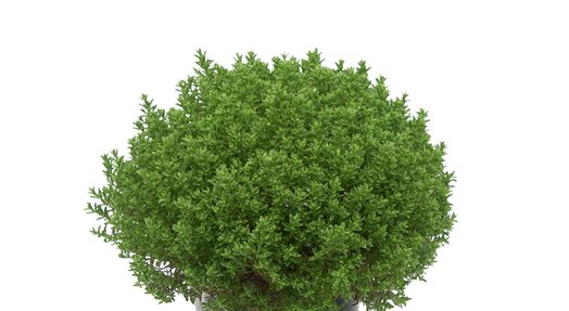 product cover